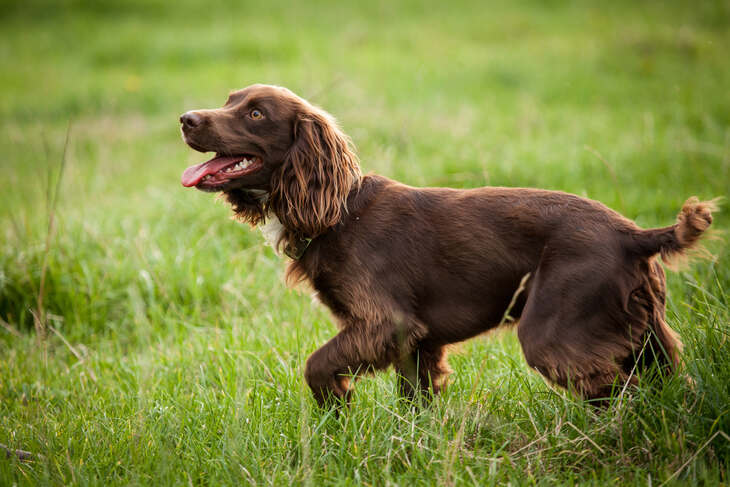 iStock 32